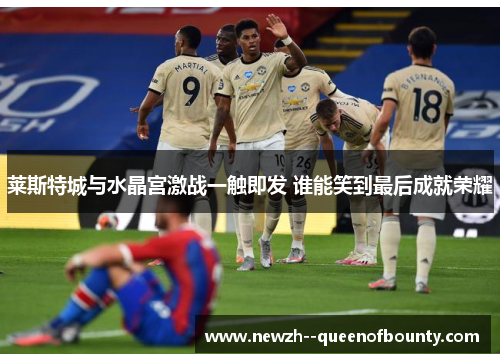 莱斯特城与水晶宫激战一触即发 谁能笑到最后成就荣耀 莱斯特城与水晶宫激战一触即发 谁能笑到最后成就荣耀